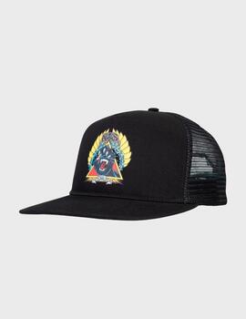 Gorra Santa Cruz Natas Screaming Panther Black