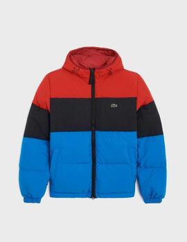 Chaqueta Lacoste Blouson Red/Blue