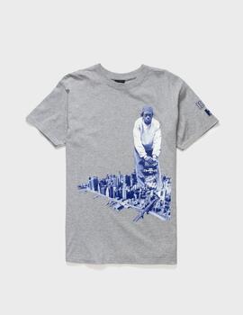 Camiseta HUF Hhf 2021 S/S Grey Heather