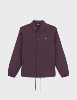 Chaqueta Dickies Oakport Coach Jacket Plum Perfect