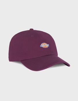 Gorra Dickies Hardwick Plum Perfect