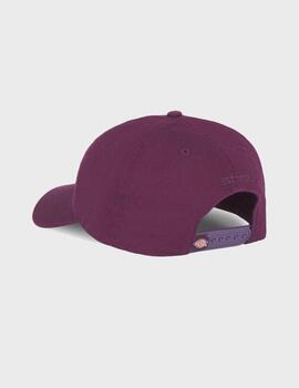 Gorra Dickies Hardwick Plum Perfect