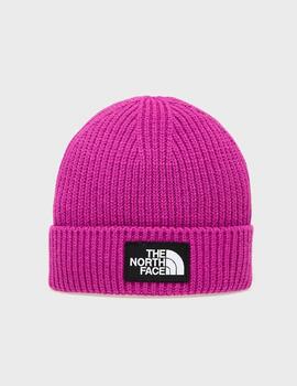 Gorro The North Face Logo Box Cuf Sht Deep Mulberry