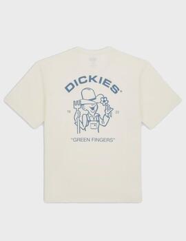 Camiseta Dickies Wakefield Ss Cloud
