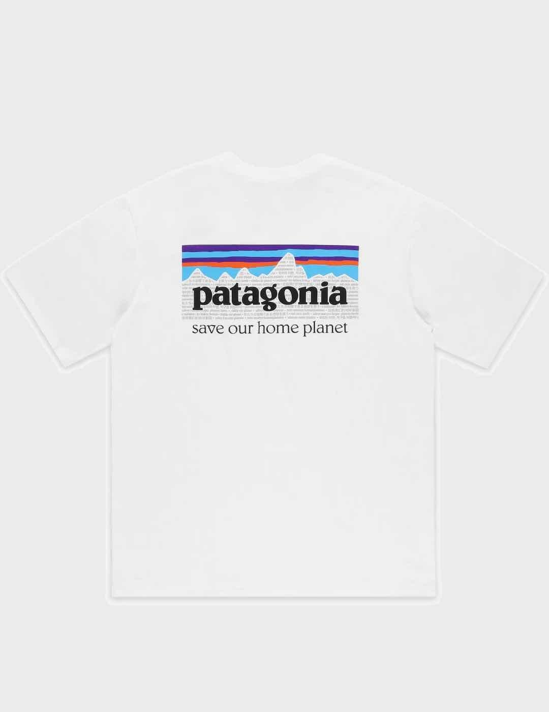 Camiseta Patagonia Ms Mission Organic White