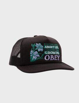 Gorra Obey Life Trucker Black